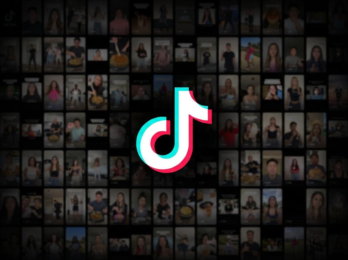 TikTok Ads Management